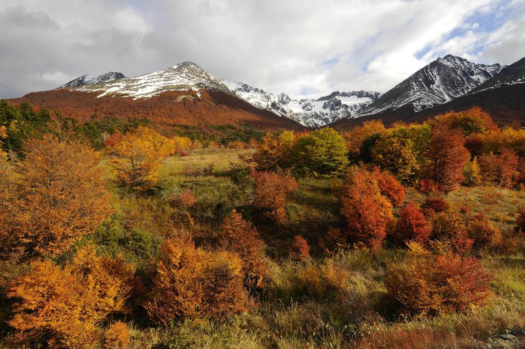 Cumbres Del Martial Hotel Ushuaia Kültér fotó