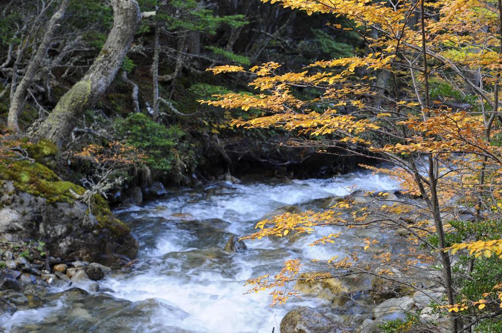 Cumbres Del Martial Hotel Ushuaia Kültér fotó